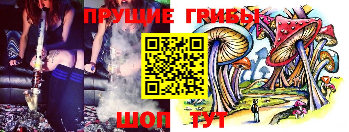 Псилоцибиновые грибы GOLDEN TEACHER  Вход с VPN  Псилоцибиновые грибы GOLDEN TEACHER  Барнаул 