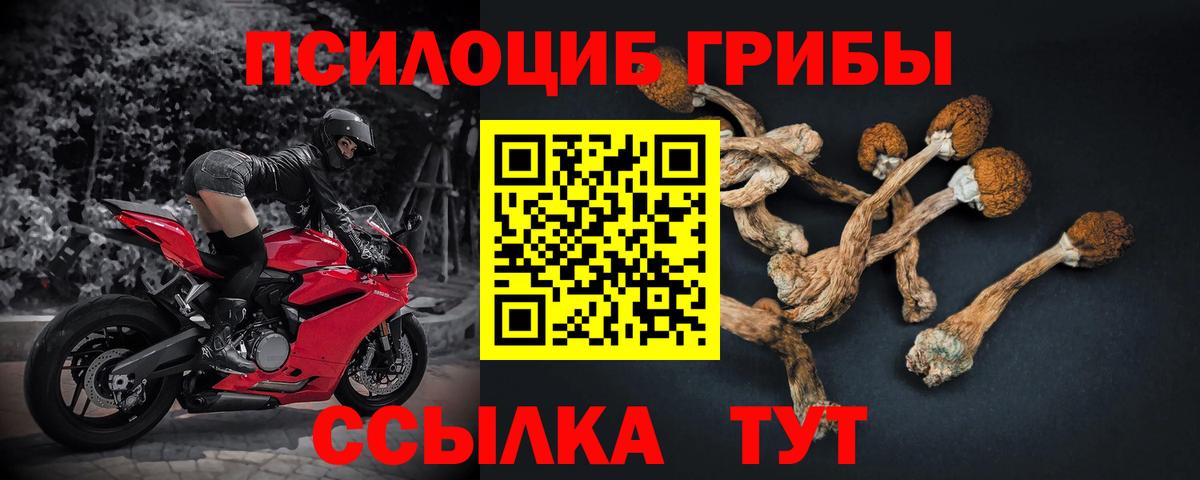 Галлюциногенные грибы Magic Shrooms Барнаул